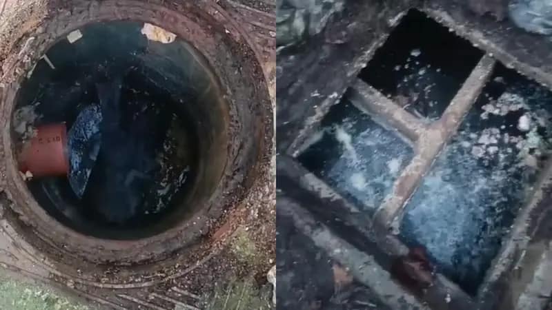 Vidange fosse SanExpress Habay